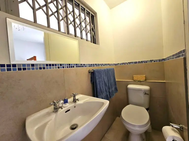 4 la corniche gordons bay 29 en stuite bathroom with shower and toilet 768x576